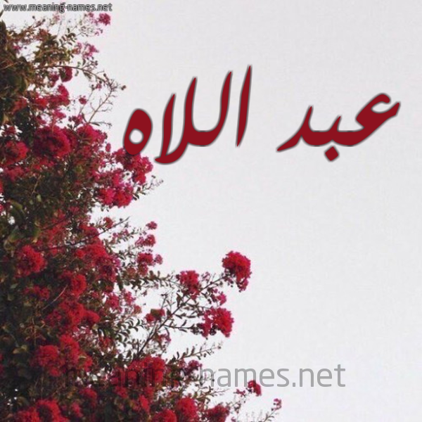 شكل 18 صوره الورد الأحمر للإسم بخط رقعة صورة اسم عبد اللاه Abdellah